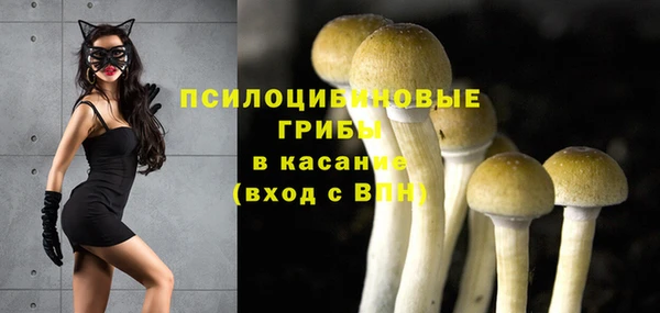 метадон Аркадак